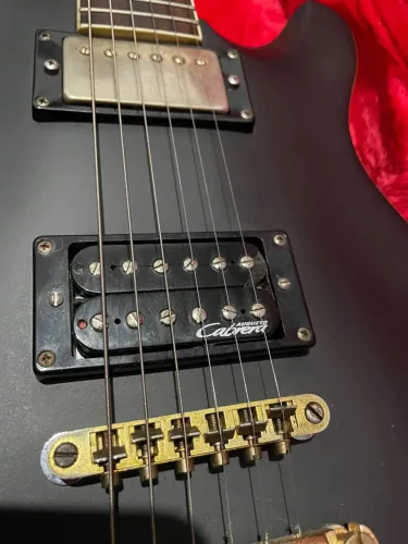 Tagima PRS Custom 