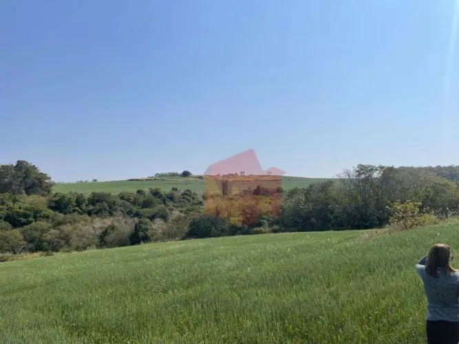 Terreno à venda, 145000 m² por R$ 1.000.000,00 - Centro - Santo Antônio da Platina/PR