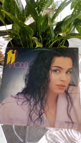 DISCO VINIL TOP MODEL