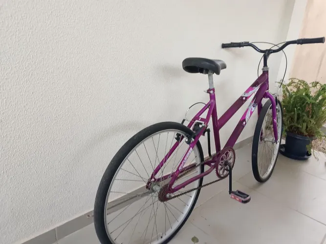 Bicicleta adulto