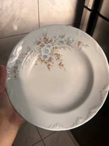 Jogo de Pratos Porcelana Schmidt Floral Vintage - 12 Peças