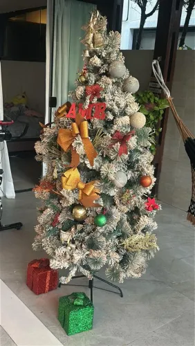 Vendo Árvore de Natal em perfeito estado com todos os enfeites inclusos! 
