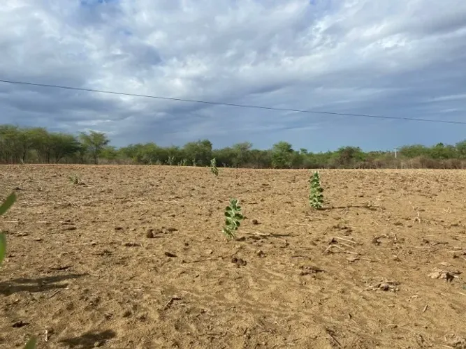 Vendo terreno com 20 hectares