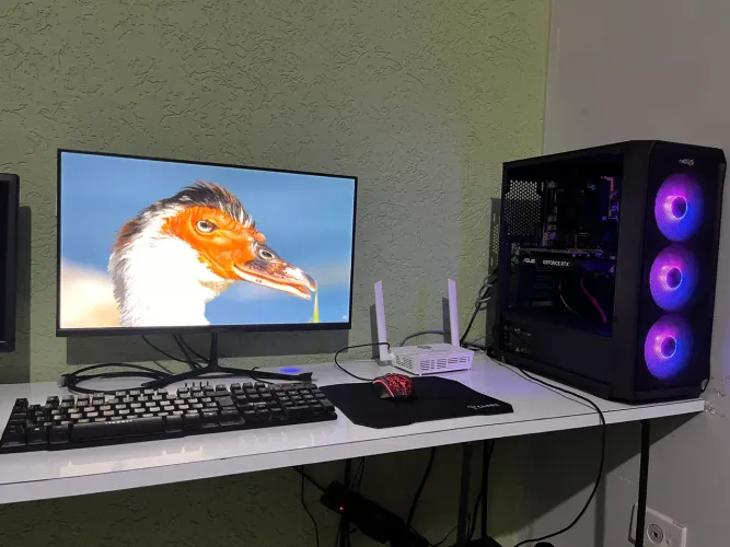 Pc gamer 2 mês de uso 