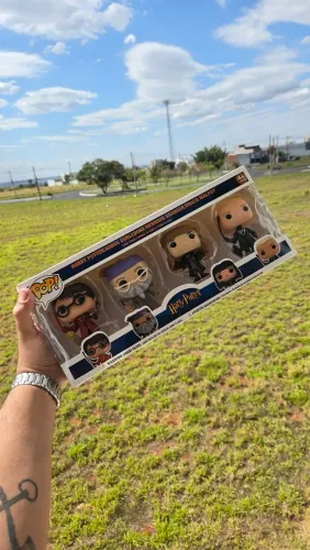 Funko Pop Harry Potter