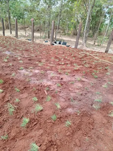 Grama São Carlos Jardim Residencial Completo