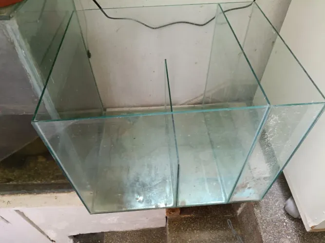 3 Aquários 