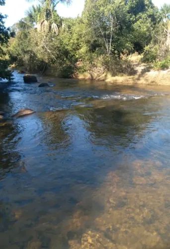 Vende-se uma excelente fazenda de 100 hectares