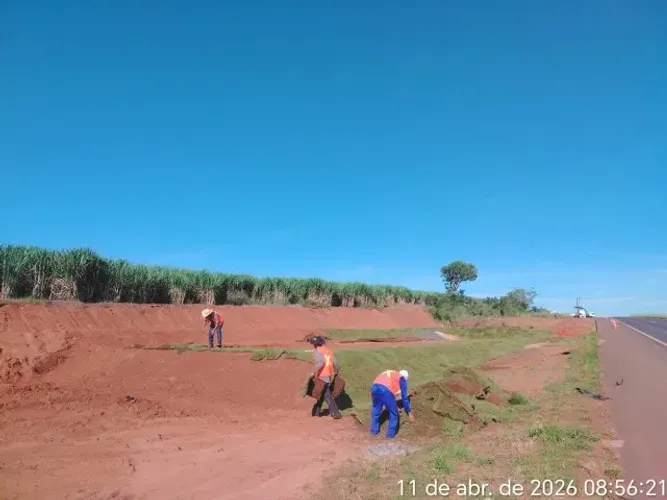 110 Metros de Grama Batatais Melhor Preço 