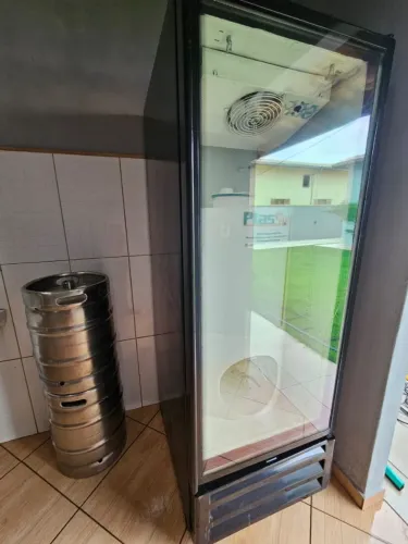 Freezer vertical expositor 220v