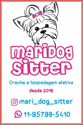 Hospedagem e creche para dogs