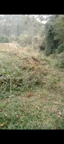 Vendo ou troco terreno por moto ou carro mais volta 