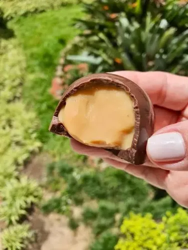 Revendedor de trufas - oportunidade de trabalho - renda extra