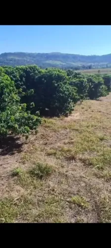 sitio em itirapuã 4 alqueires 2.800.000.00 ( alf )