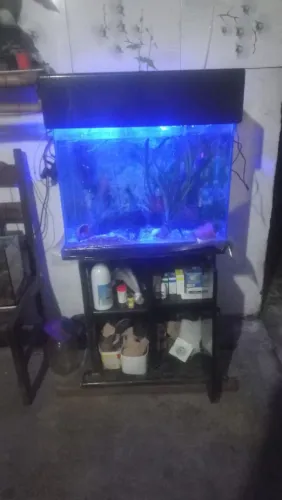 Aquário completo