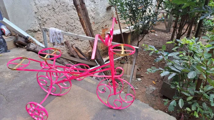 Bicicleta de Jardim