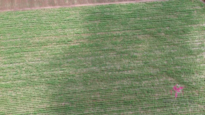 Terreno à venda, 5004 m² por R$ 300.000,00 - Área Rural - Pirassununga/SP