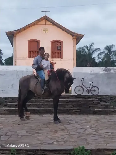 Cavalo 