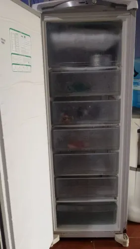 Frizzer vertical