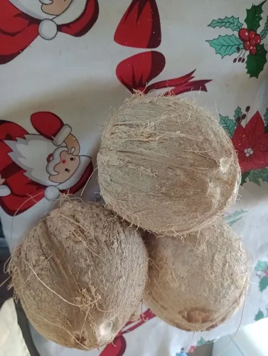 Coco seco 
