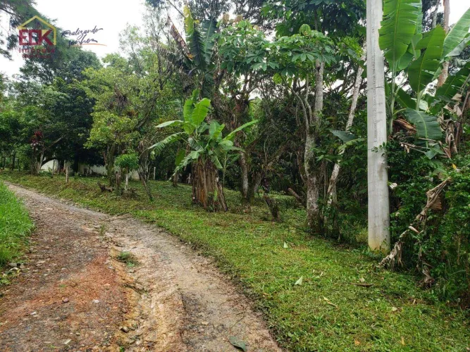 Chácara com 2 dormitórios à venda, 20000 m² por R$ 320.000,00 - Ribeirão Grande - Pindamon