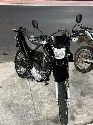 Vendo bros 2023