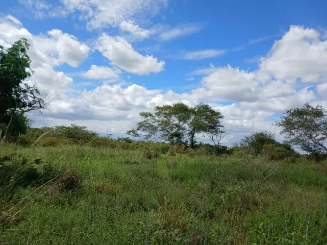 Duas tarefas de terra na zona rural de água fria Bahia.