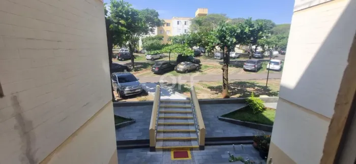 apartamento - Jardim do Vovô - Campinas