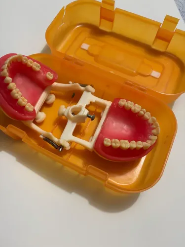 Manequim Odontológico