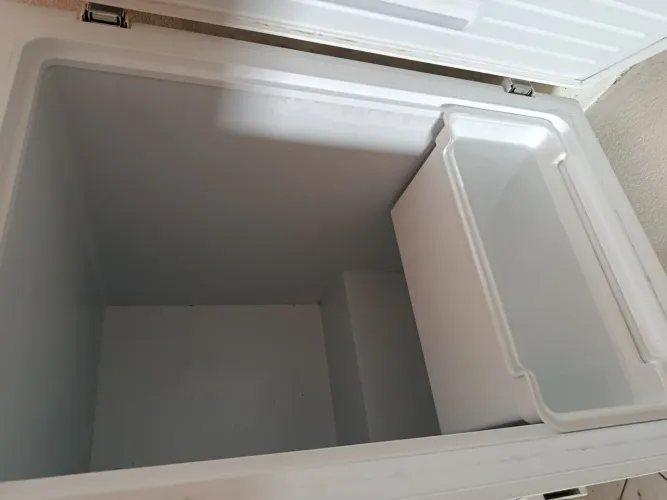Frizer Eletrolux 