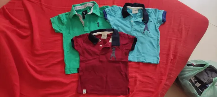 3 polos 1 ano