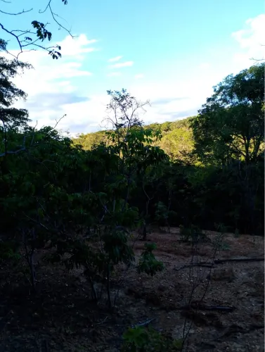 Vende-se terreno na Serra do cipó 