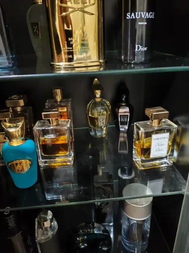 LOTE DE PERFUMES IMPORTADOS (NICHO E DESIGNERS) - ACERVO PESSOAL