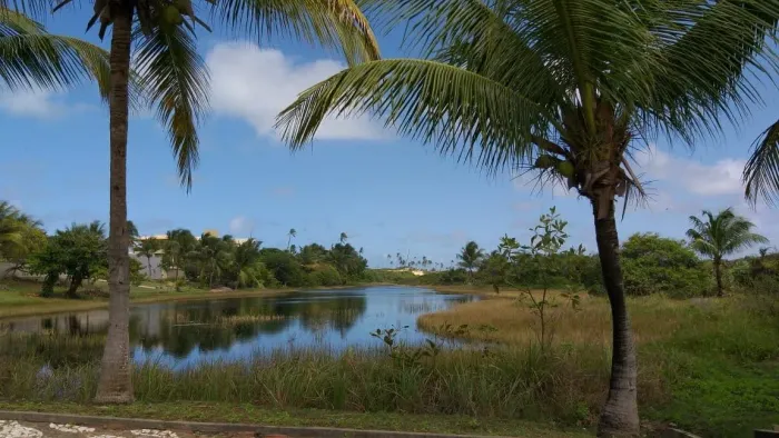 Terreno guarajuba/barra de jacuipe 710 m2 Cond. Canto do Sol