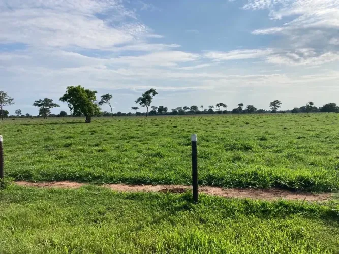 Fazenda a venda - Aruanã - GO