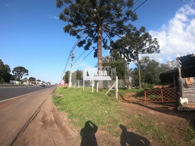 Terreno para alugar por R$ 1200.00, 1500.00 m2 - CHAPADA - PONTA GROSSA/PR