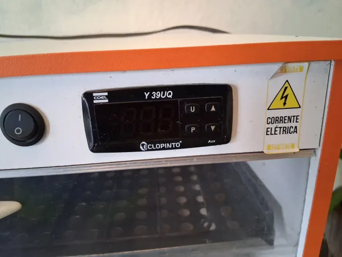 Chocadeira automática 