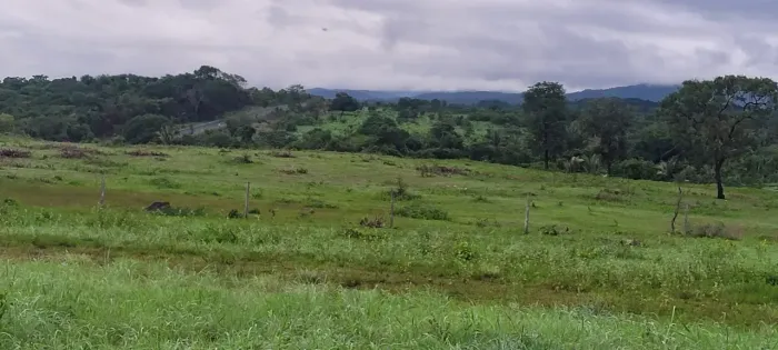Imóvel para venda tem 17133600 metros quadrados em Zona Rural - Colinas do Sul - GO