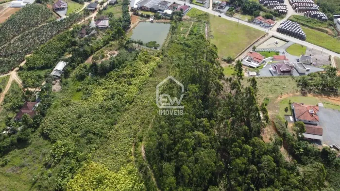 Área Rural com Plantação de Eucalipto em Massaranduba, SC