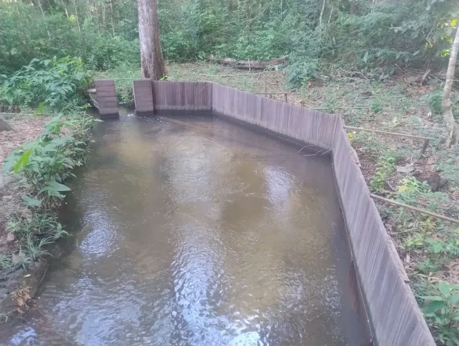 Terreno com igarapé 