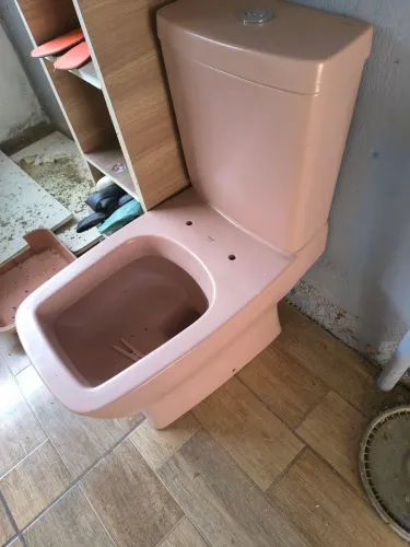 Kit vaso incepa Rosa