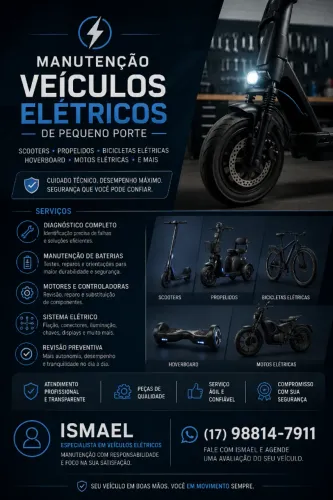 Manutenção em Veículos Elétricos