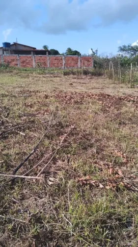 Terreno 10x60 salgado