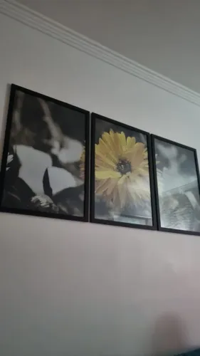 Quadros de vidro moldura foto girassol