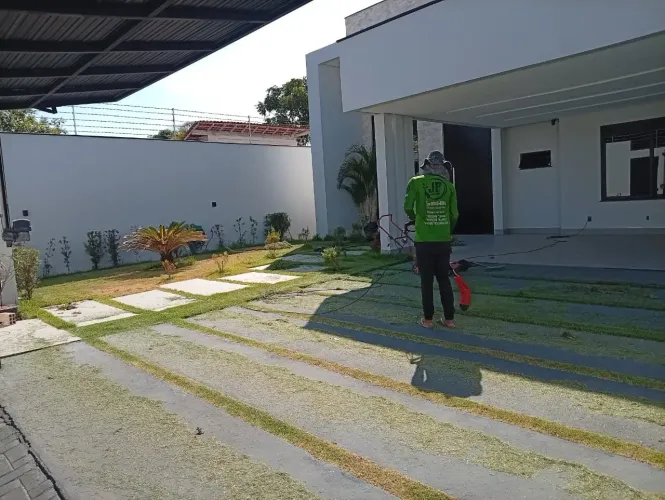 Grama Esmeralda e Jardinagem