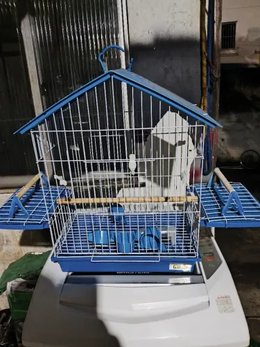Gaiola 