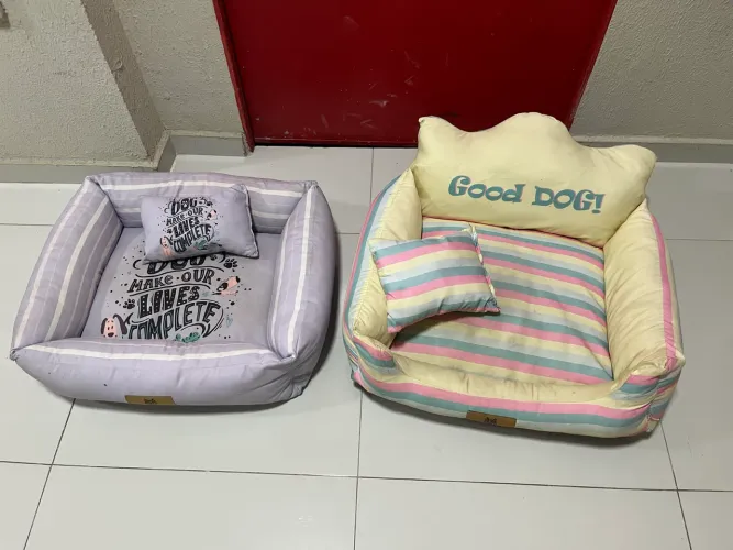 2 camas grande para cachorro