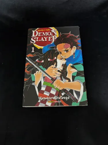 Demon Slayer volume 1