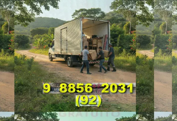 Frete Bau! rapidez e segurança em mudanças | serviços em Manaus e região!