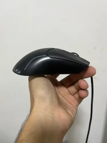 Mouse